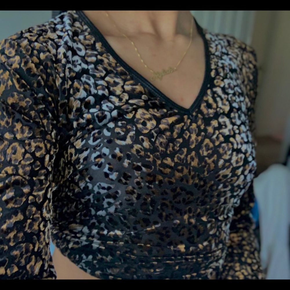 superr cute velvet cheetah v neck